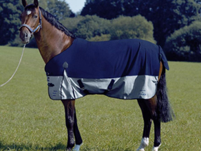 horserugs.jpg