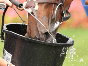 bucket.jpg